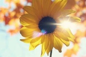 陈明：以梦想为途 做一生的旅人