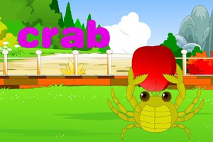 第十课  动    物