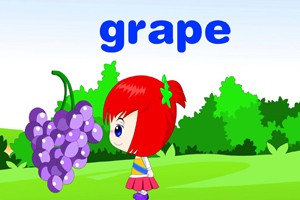 第十二课  水    果