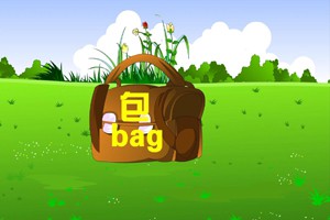 第十九课  文具及其他用品