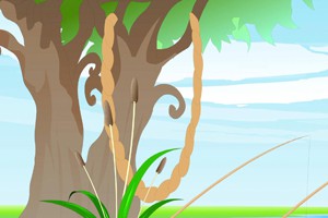 第二集 最后的考验