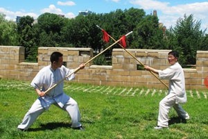 三段太极枪三段太极枪的主要内容