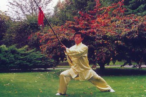 三段太极枪三段太极枪重点动作讲解