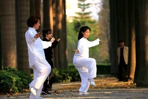 太极双环太极双环介绍及全套演示