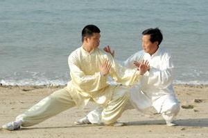 太极双环第五组动作讲解及演示