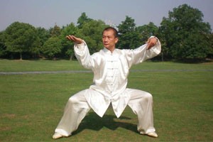 太极双环第六组动作讲解及演示