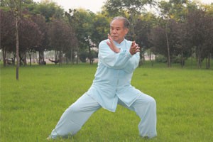 太极双环第七组动作讲解及演示