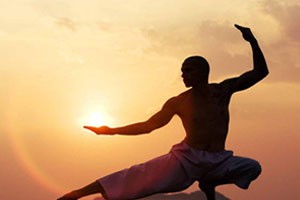 太极双环第八组动作讲解及全套演示