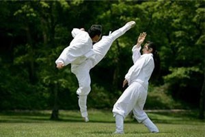 吴氏太极十三刀第四组分解教学