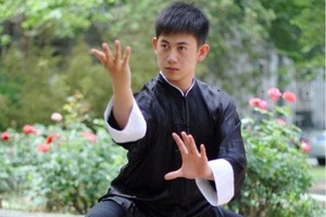 八卦枪高级套路分解教学 提炉枪（下）