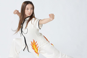 飞龙八卦掌第一掌 单合掌