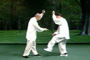 三十八式太极佛尘（上）