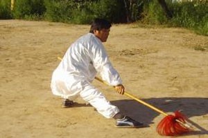 梅花枪前半趟教学演练（上）