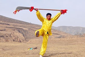 梅花枪前半趟教学演练（下）