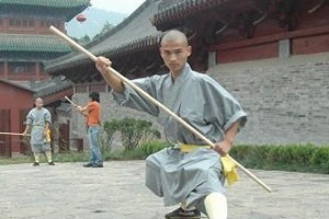 梅花枪后半趟教学演练（下）