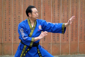 散手道前踢类腿法应用（上）