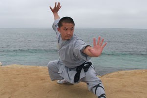 散手道前踢类腿法应用（中）