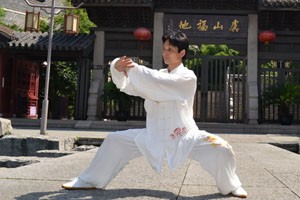 散手道侧踢类腿法应用（上）