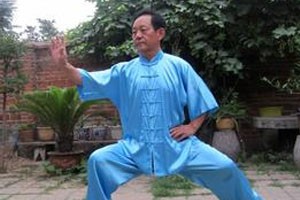 散手道侧踢类腿法应用（下）