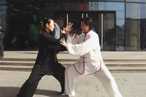 太极短棍四十六式（下）