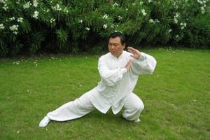 轮椅上的太极—养生十八式太极拳（四）