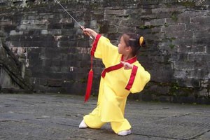 武当太极剑四十九式（中）