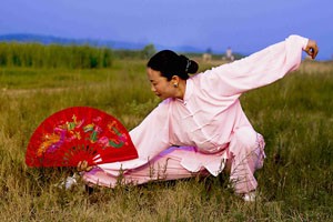 夕阳美太极功夫扇第二段与第三段