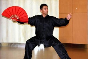 夕阳美太极功夫扇第四段与第五段