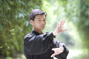 《太极花样组合之五》甲组 佛尘 共34动