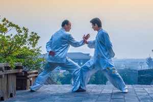 《太极推手五门、八步》平原单推手