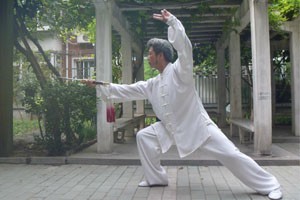 太极拳 太极剑规范教程传统杨式太极刀（二）