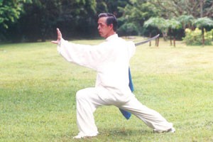 太极拳 太极剑规范教程传统杨式太极刀（三）