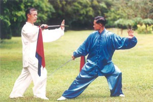 太极拳 太极剑规范教程传统杨式太极刀（五）