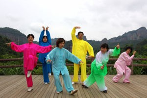 太极名师系列中国古代导引术五禽戏（二）