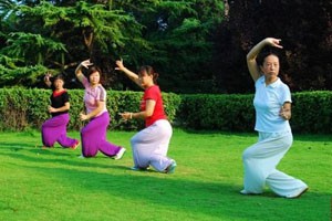 太极名师系列中国古代导引术五禽戏（三）