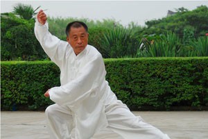 太极名师系列中国古代导引术五禽戏（四）