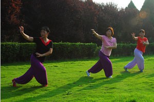 太极名师系列中国古代导引术五禽戏（五）