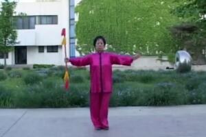 中国功夫鞭（二）