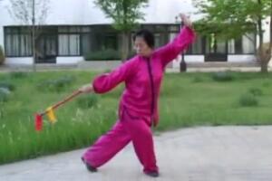 中国功夫鞭（四）