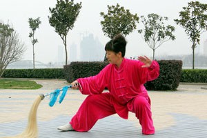 太极拂尘（二）