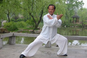 陈氏太极拳（三）