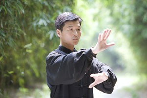 陈氏太极拳（四）