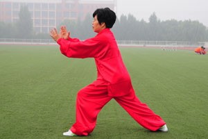 陈氏太极拳（五）