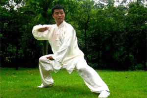 吴氏45式太极拳（五）