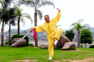 九式太极刀第三套（中）