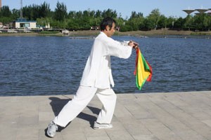 九式太极刀第四套（上）