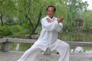 九式太极拳第三套（中）