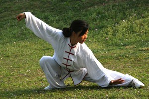 九式太极拳第四套（上）