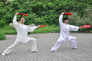 九式太极扇第一套（中）