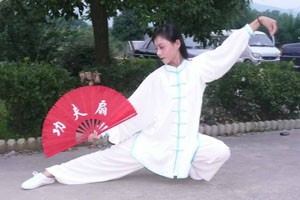 九式太极扇第三套（下）